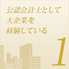 公認会計士として大企業を経験している